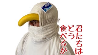 mqdefault.jpg