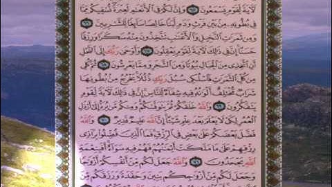 القران الكريم سورة النحل من الاية 55 الى الاية 72