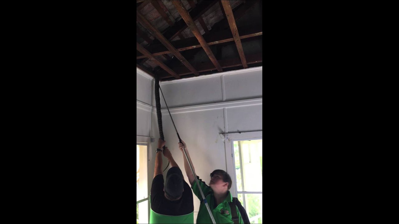 Snake Removal, How to get a snake out of a ceiling! YouTube