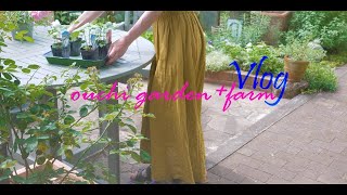 【ガーデニングvlog】秋の花を植える｜紫蘇で作るジェノベーゼパスタ｜植物が教えてくれる事【暮らしのvlog】