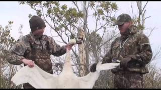 Duck Hunting North Carolina