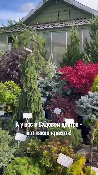 Минское шоссе, 14 км от МКАД, «Лесной городок». У нас 3 гектара ...