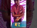 science day project