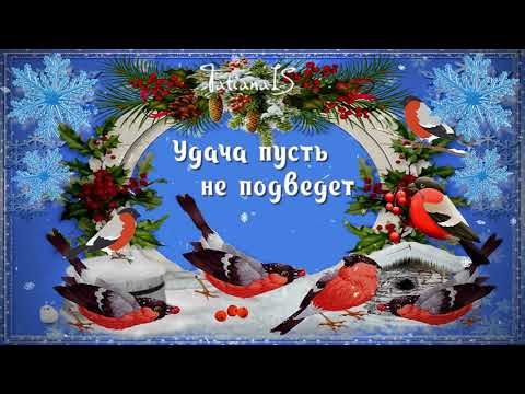 Отличного морозного денечка Вам. Видео открытка.