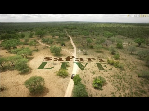 website live stream not working safariLIVE - Sunrise Safari - Nov. 02, 2017