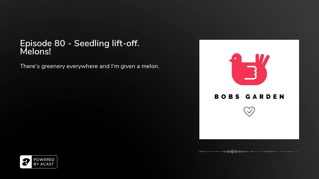 Episode 80 - Seedling lift-off. Melons!