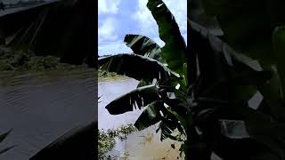 Quê tôi thật thanh bình ák.