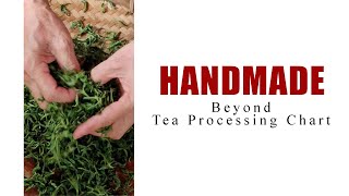 How Green Tea is Made: Handmade Chinese Green Tea Processing by ZhenTea 303 views 1 month ago 12 minutes, 36 seconds