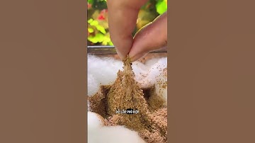 Bông Lọc Cashmere - Lọc Sạch Phân Cặn, Nước Trong Vắt