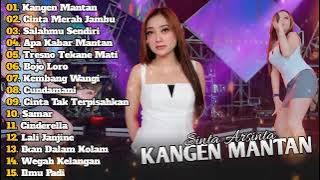 Full Album Shinta Arsinta 2025 🎶 KANGEN MANTAN, CINTA MERAH JAMBU - Dangdut Koplo Viral!