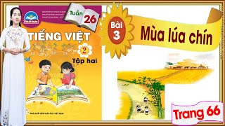 Tiếng Việt lớp 2 chân trời sáng tạo tuần 26 bài 3| Mùa lúa chín