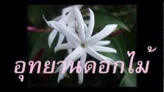Video thumbnail of "อุทยานดอกไม้  อรวี สัจจานนท์"