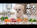 13種類の食材をガチでランキングしたら…1位が意外すぎた