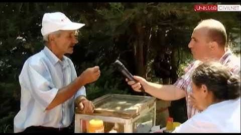 Շամշադինի սահմանապահ մեղուները