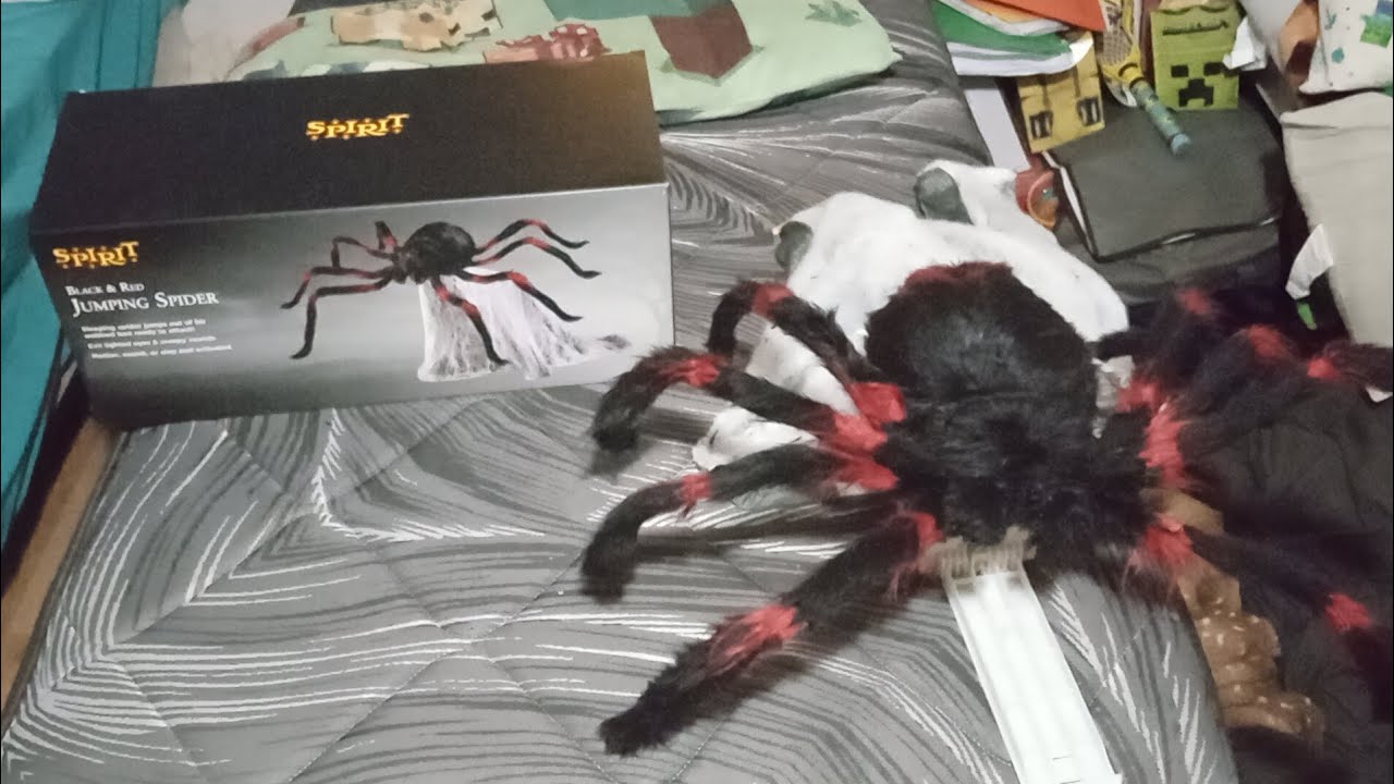 How to set up spirit Halloween jumping spider 🕷️🕸️
