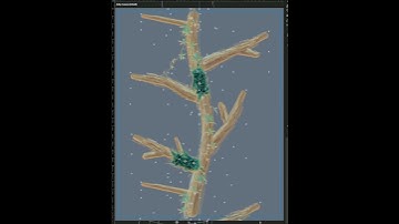 Animation Process #aftereffects #motiongraphics