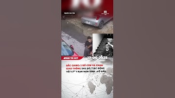 TẠI SAO 2 BỐ CON CÓ HÀNH ĐỘNG NHƯ VẬY