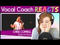 Vocal Coach reacts to Chris Cornell - When I'm Down (Live)