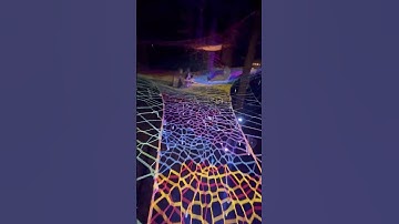 A whole web campground high above the festival #tree #treenet #treeweb #hammock #spacenet #tensile