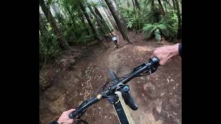 Huckle Berry Hound | Whakarewarewa Forest - Redwoods Rotorua | Hero Dirt 6 Day Tour