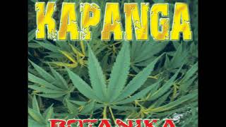 Video thumbnail of "Kapanga - Extraño (AUDIO)"