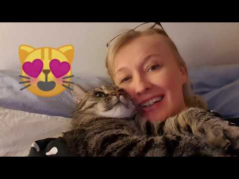 Video: Kissojen Kieli: Kääntäjä Kissasta
