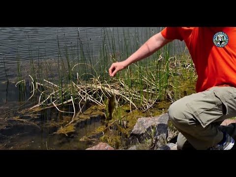 Colorado Outdoors 