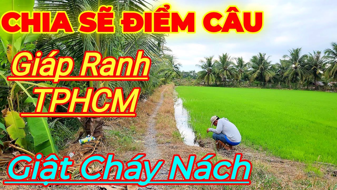 Chia Sẽ Điểm Câu, Cá Rô Trúng Ổ  1 Lỗ kiếm 2kg. Giật Cháy Cả Nách
