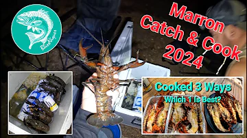 Marron/Crawfish Catch&Cook Season 2024. Cooked 3 Different Ways, Which 1 is Best? Ep.55 BlissNiques