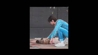 Lee know and seungmin playing with a cat :((( Time Out #1 MT Part 1  SKZ CODE Ep.33 #foryou #shorts