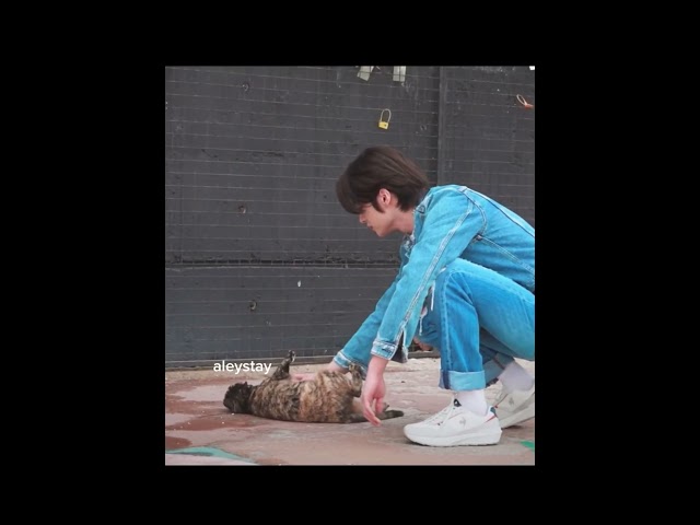 Lee know and seungmin playing with a cat :((( Time Out #1 MT Part 1  SKZ CODE Ep.33 #foryou #shorts class=