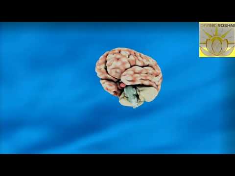 Light language for enhancing memory retention power