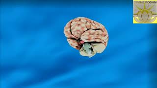 Light language for enhancing memory retention power