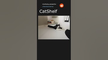 Daily Top Reddit Posts #87. 02/23/22. Top post in r/confusing_perspective.