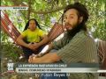 La Expresión Rastafari En Chile 1 2 Reportaje En MEGA La Expresión Rastafari En Chile 1 2 Reportaje En MEGA