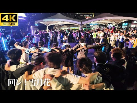【肉フェス 2025】「回レ！雪月花」 - 歌組雪月花【オタ芸】アニメ「機巧少女は傷つかない」ED DJ扉 コール やぐらお台場 ヲタ芸 Meat Fes
