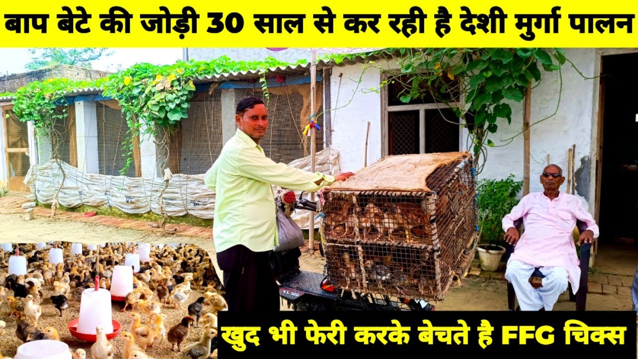 30 Years Experience in Deshi Poultry Farming // FFG Chicks की Brooding करके खुद भी फेरी कर लेते है