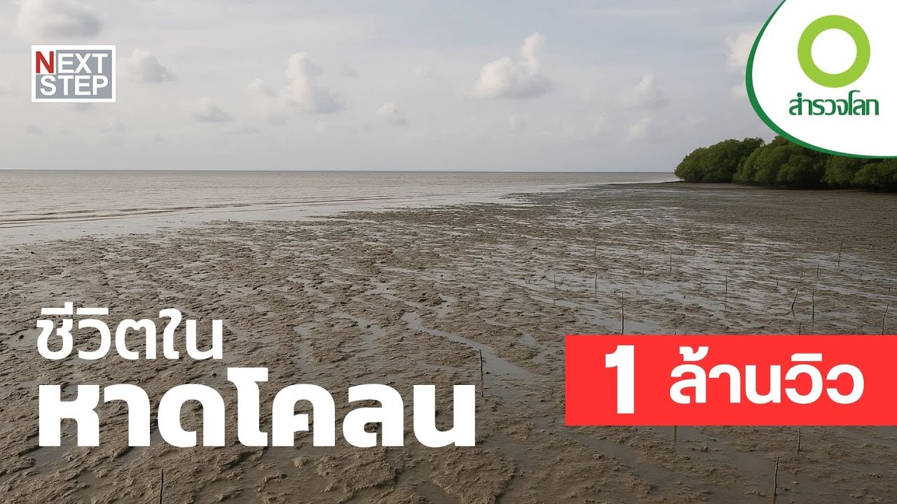 ชีวิตในหาดโคลน - ดวงจันทร์ ส่งผลต่อสัตว์มากกว่าที่คุณคิด  | สารคดี สำรวจโลก