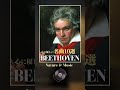 ベートーヴェン心に優しい名曲10選/ #beethoven #classic #reels