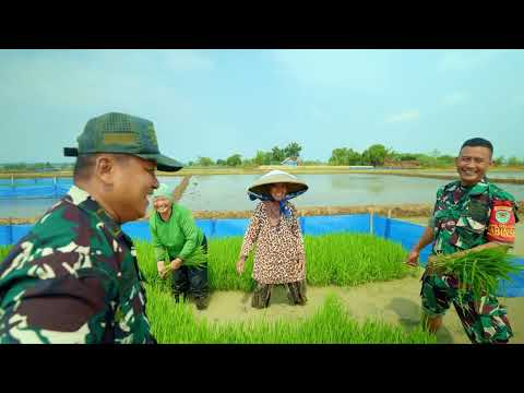 SWASEMBADA PANGAN NASIONAL TNI BERSAMA RAKYAT 