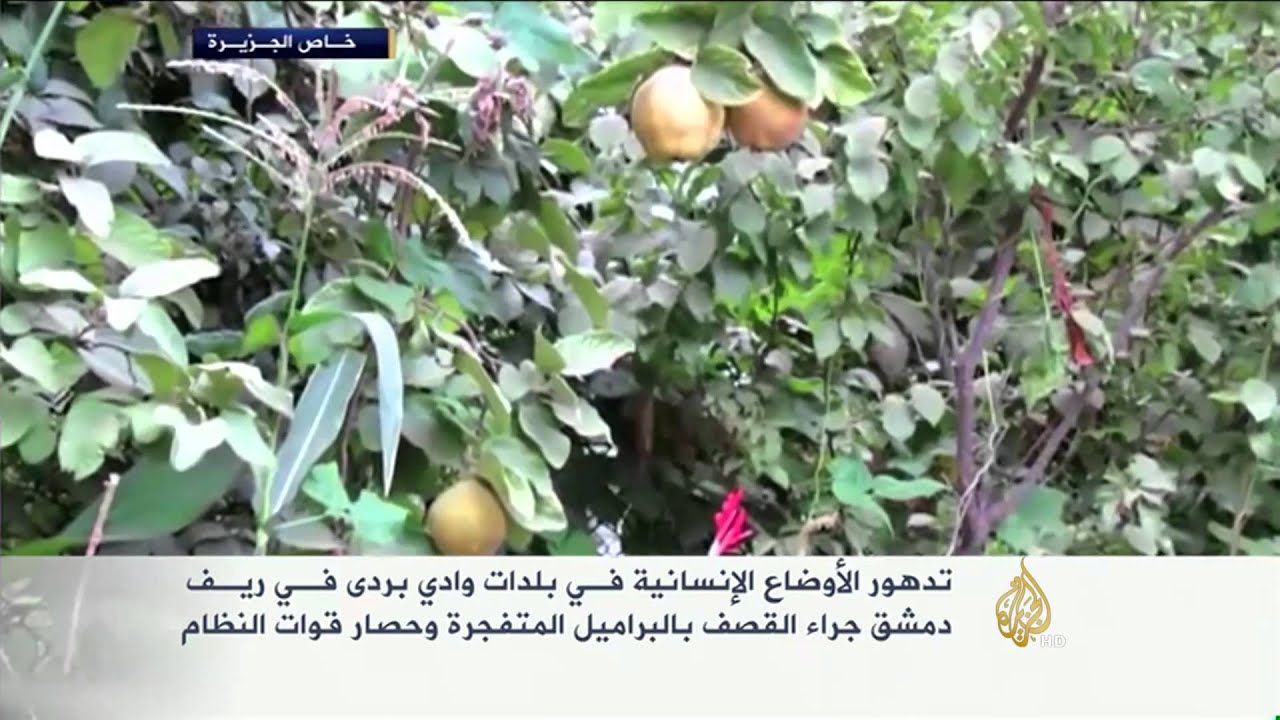 تدهور الأوضاع الإنسانية في وادي بردى بريف دمشق