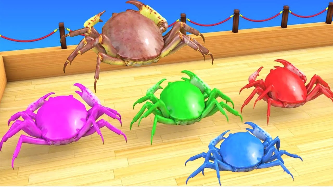 Con cua,chú voi con bản đôn, con gà gáy le te  - nhạc thiếu nhi sôi động remix  BLEU BLEU