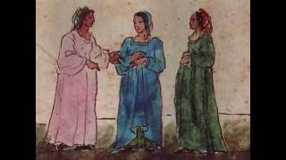 Lost Book Of Nostradamus Viewed Page By Page