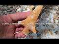 Knapping a Coral Abbey style point
