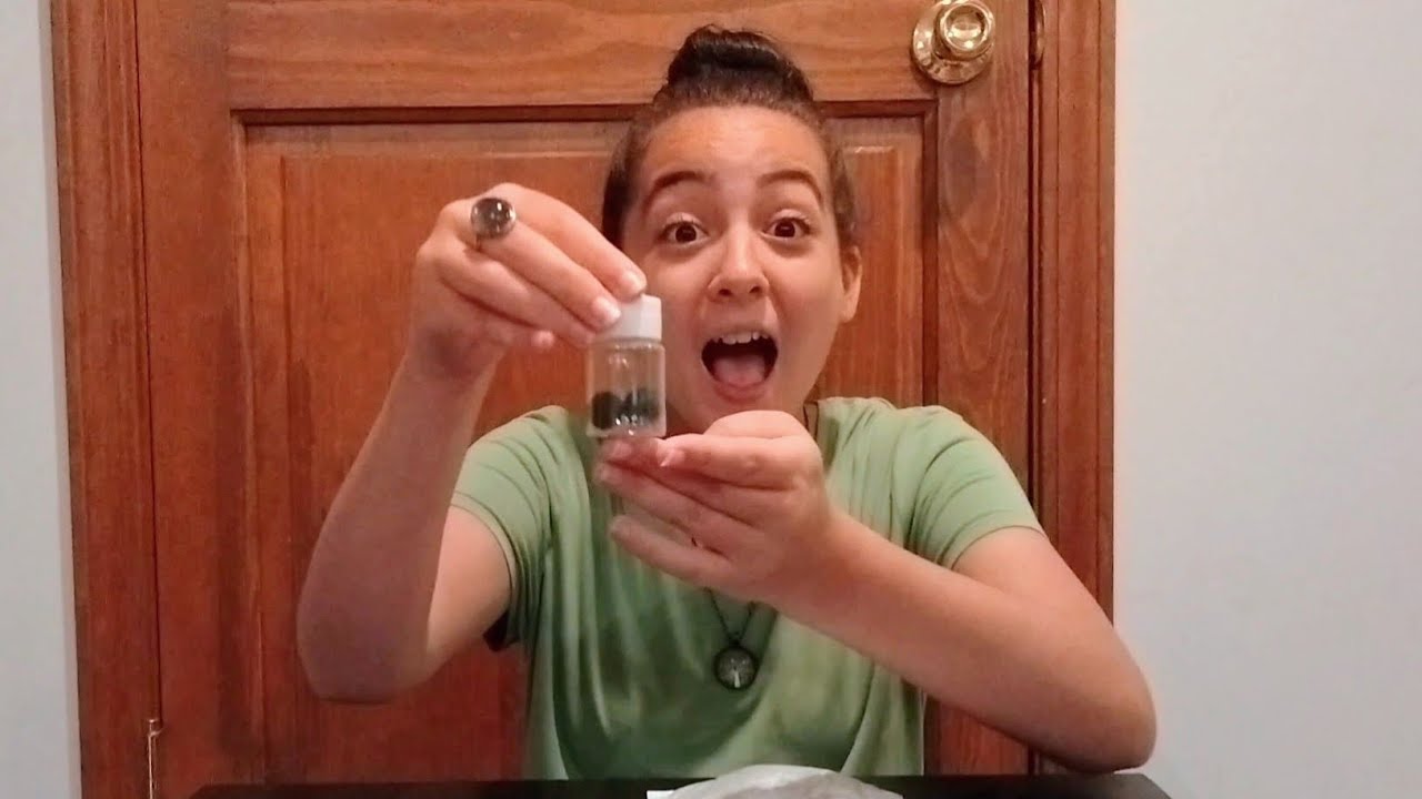 MK Aquarium Marimo Moss Balls Unboxing Discount Code LIMITEDTIME12