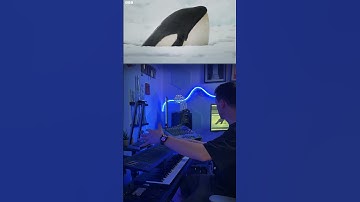 David Attenborough meets ROLI Airwave