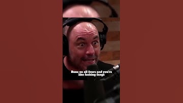 Face 2 Face with a 🦍 GORILLA 😱 : Joe Rogan & Bryan Callen