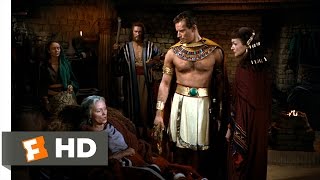 The Ten Commandments (5/10) Movie CLIP  Moses Meets His Real Mother (1956) HD