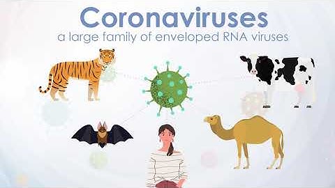 Learning From SARS and MERS: What Should We Expect for COVID-19 Patients