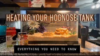 Heating your hognose enclosure: how to guide and walkthrough